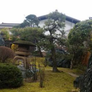 お庭のお手入れお任せ下さい！