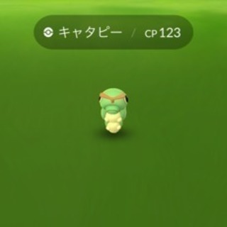 ポケモンGO 福井 募集
