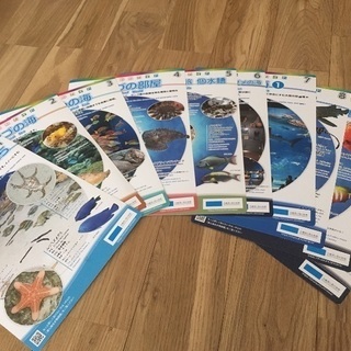 美ら海水族館の観察ガイド