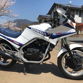 ホンダ VT250FE インテグラ 実働 書類あり 動画ありの画像