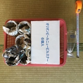 オリオンビールグラス