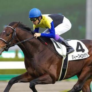 競馬仲間募集🏇