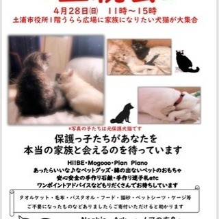 犬猫里親会inうらら広場