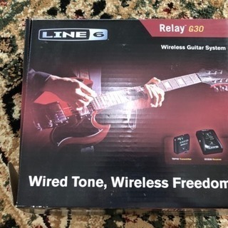 【中古美品】LINE6 G30専用ケース付き