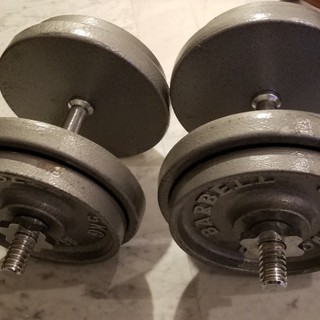 ダンベル左右合計50kg(7.5kg×4枚、5kg×4枚、バー×2本)