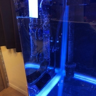 【最終値下げ】90センチ水槽 セットの画像