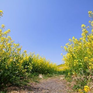 写真好きのお散歩さーくる − 東京都