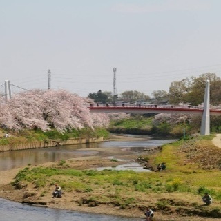 ゆるカメ〜📷 − 東京都