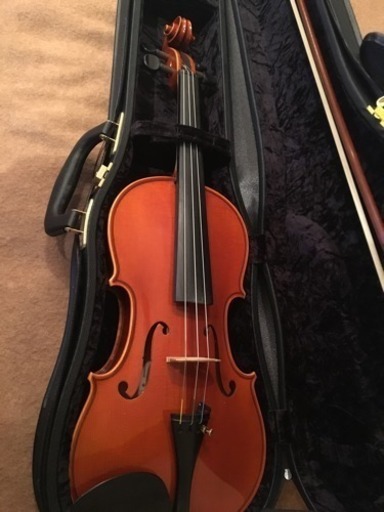 ヴァイオリン  ピグマリウス 売ります