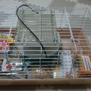 ハリネズミ飼育用品一式