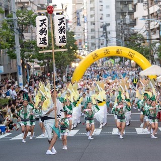 【阿波おどりメンバー（男性踊り手）募集】天狗連（東京高円寺） - 杉並区