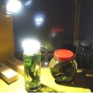 センサーライト本体のみの画像