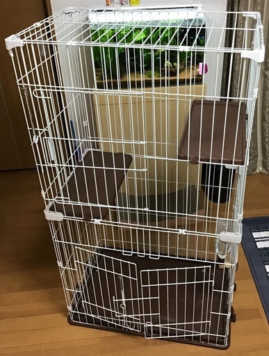 猫ゲージ お譲りします
