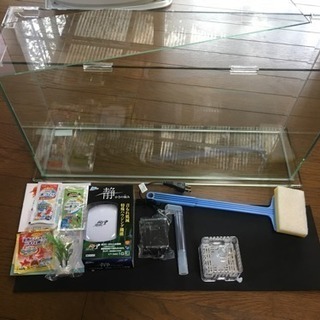 水槽 60cm×14cm×34cm(H)スリム型 オマケ多数付