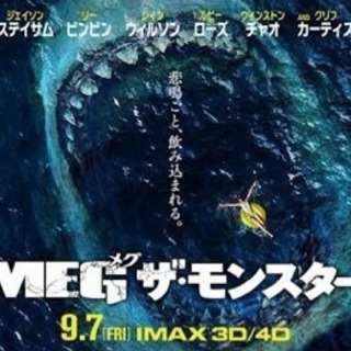 松戸 柏 船橋 映画好き飲み友達大募集(´∀｀=)✨ - 松戸市