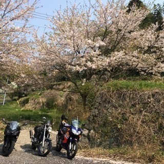 ツーリングメンバー募集！
