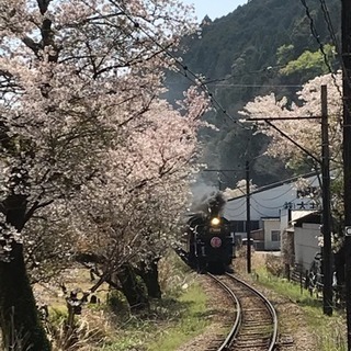 ツーリングメンバー募集