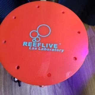 Reef live  V-SPEC 500プロテインスキマ－