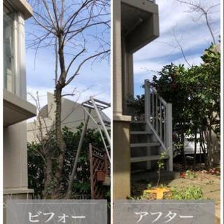 木の伐採、抜根、剪定はお任せください！ - 地元のお店