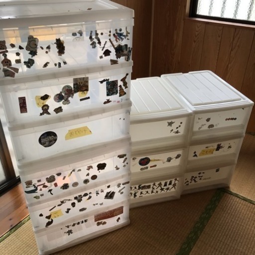 衣装 収納 ケース