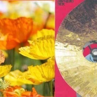GW,5月5日！素晴らしい生命のいぶき、「太陽の塔」に入場鑑賞し...