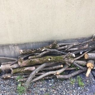 薪0円（栗と柿）