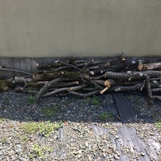 薪0円（栗と柿）の画像