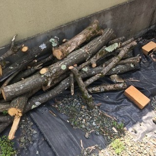 薪0円（栗と柿）の画像