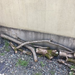 薪0円（栗と柿）の画像