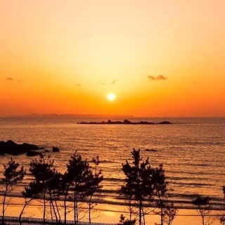 アーユルヴェーダ１Dayセミナー  by Sala Shanti