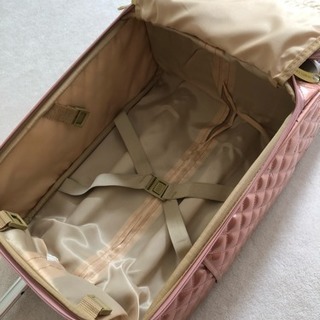 機内持ち込み用スーツケース バッグの画像