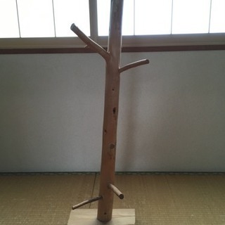 北山杉  インテリアとして