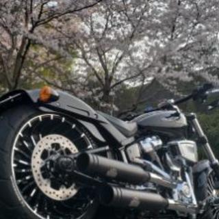 ツー友大、大、大募集です～🏍️