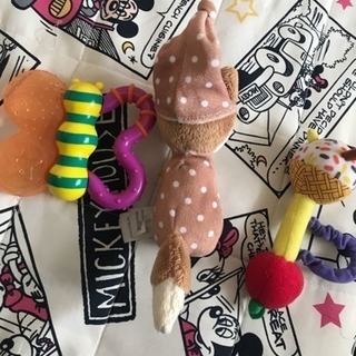 sassy サッシー おもちゃ ベビー 新生児 ちょうちょ セット