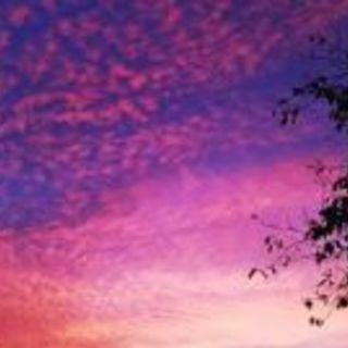 体鍛えたい人〜 - 友達