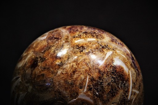 化石堆積物 丸玉　10cm　1.4kg