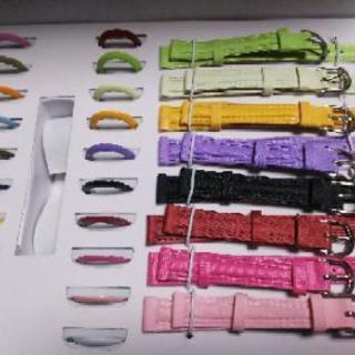 ウォッチセット Gina 本体無しの画像