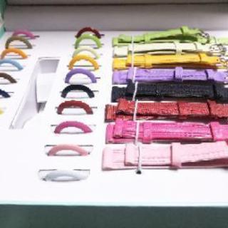 ウォッチセット Gina 本体無しの画像