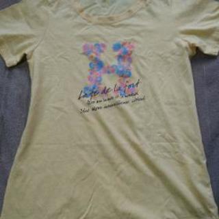 ハッシュアッシュ 新品Tシャツセットアップの画像