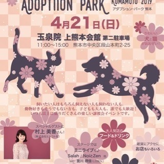 保護犬猫の楽しい譲渡会イベント