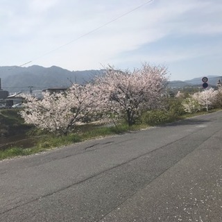 一緒に