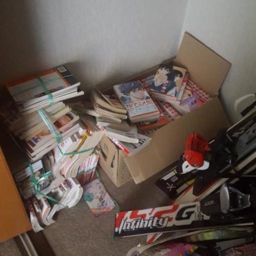 女子漫画　約100冊ぐらい？