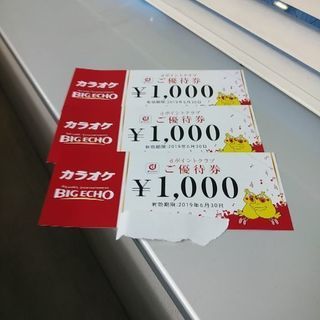 BIG ECHOビックエコーの優待券