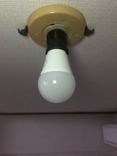 照明 電球セット