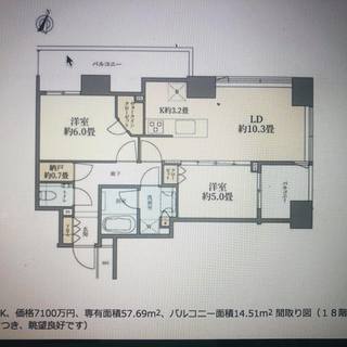スカイツリー、不忍池、上野動物園のキリンやフラミンゴが見える希少高層階角部屋 − 東京都