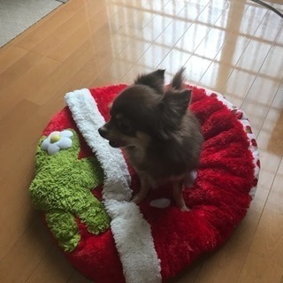 はじめまして 