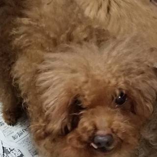★良縁ありがとうございました♥️　身勝手処分　救ってください　プ...