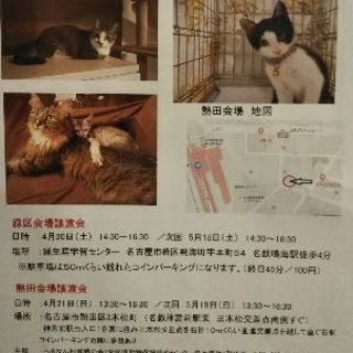 譲渡会を開催します