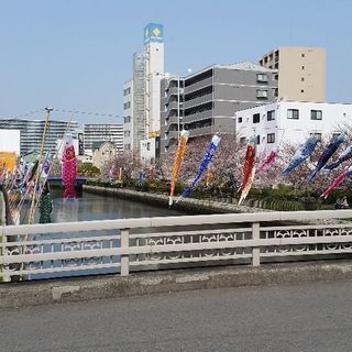 サーフィン体験