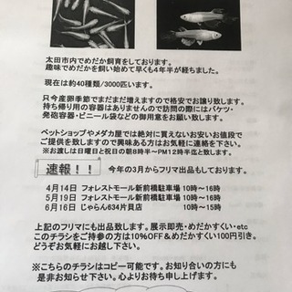 めだか展示即売、めだかスクイ − 群馬県